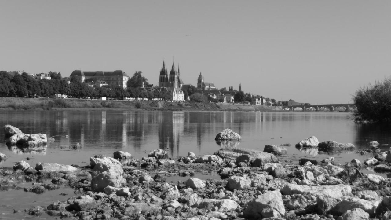 Les Ateliers Du Roi Apartamento Blois Exterior foto